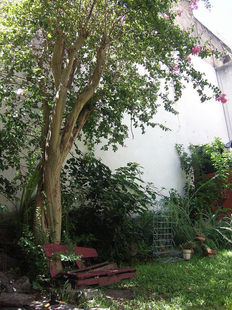La Lechuza Hostel روزاريو المظهر الخارجي الصورة
